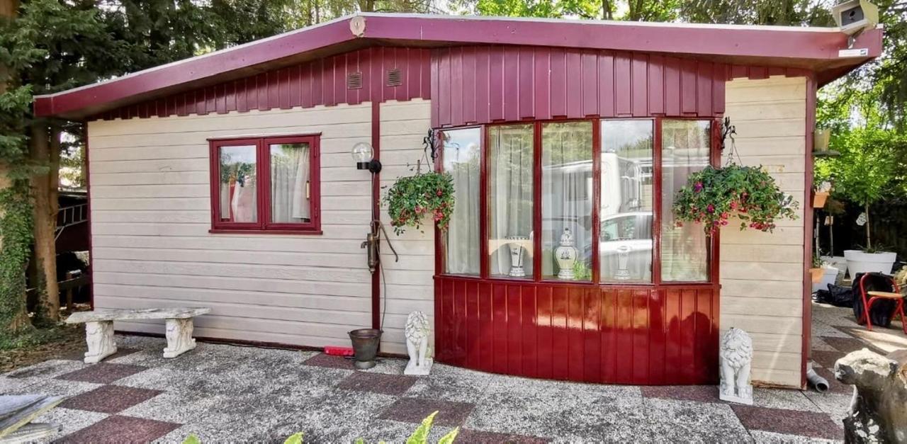 Retro Relax Resort Midden In Het Bos Op De Veluwe In Putten Exteriér fotografie